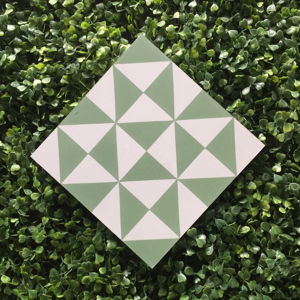 Gạch xi măng khảm - CTS 22.8