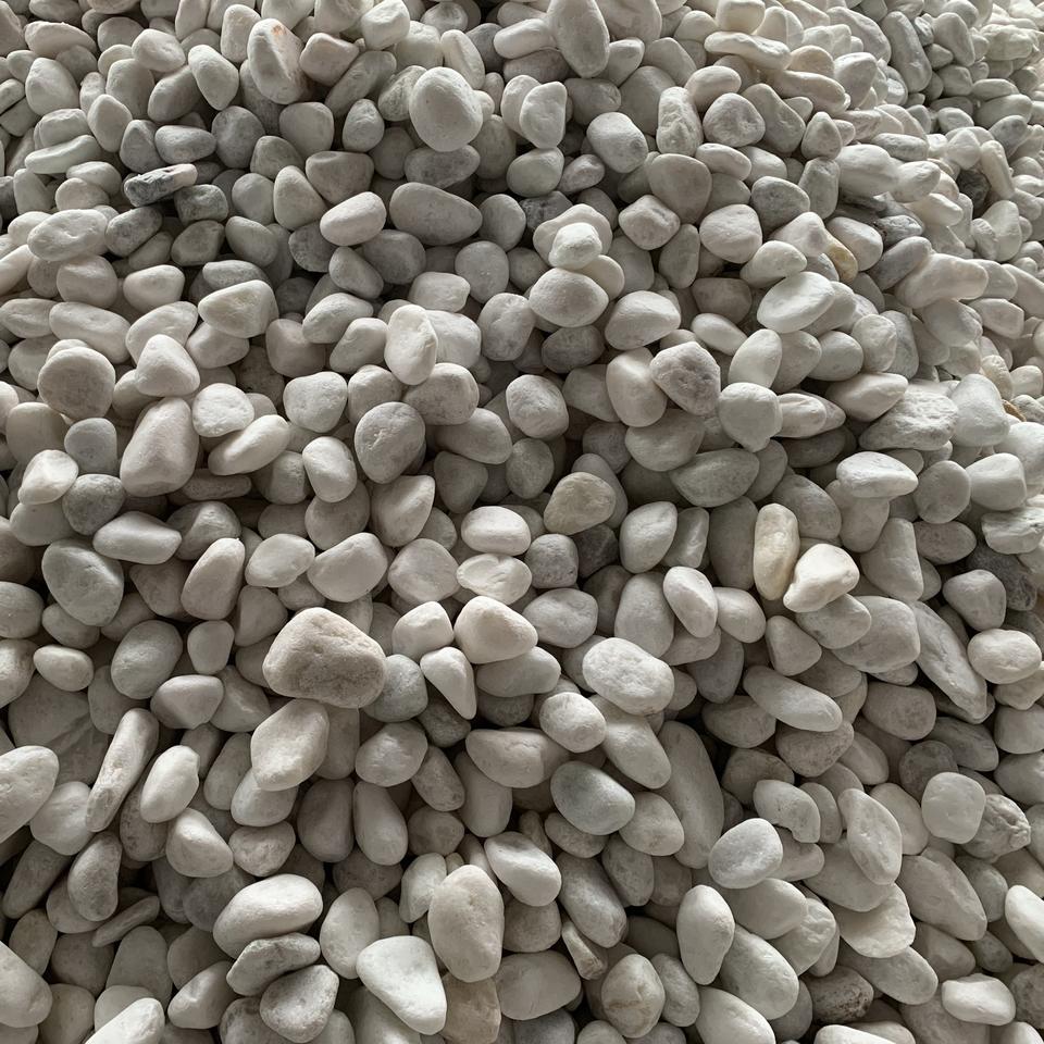Good Sell Snow White Pebble Stone for Decorating Home Garden Paving