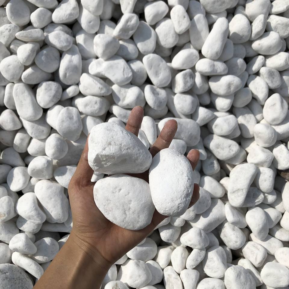 Vietnam Supplies Shiny Top Quality Snow White Pebble Stone for Garden Driveway Landscape Paving Outdoor Pebble Stone
