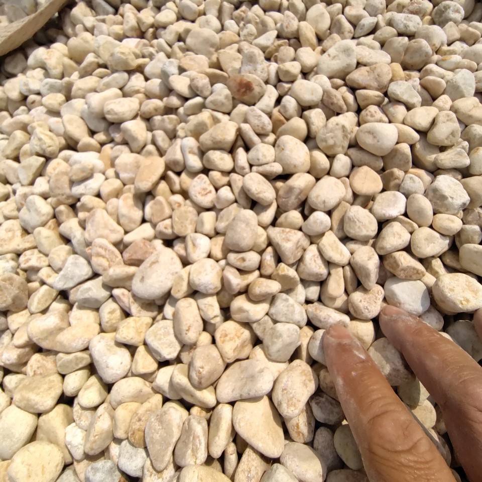 Wholesale Pebble & Gravel Natural Tumbled Stone Terrazzo Tiles Making Yellow Round Pebble Decorative Pebble Stone