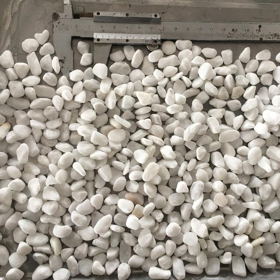 Vietnam Natural Stone Snow White Pebble for Path Roads Driveway