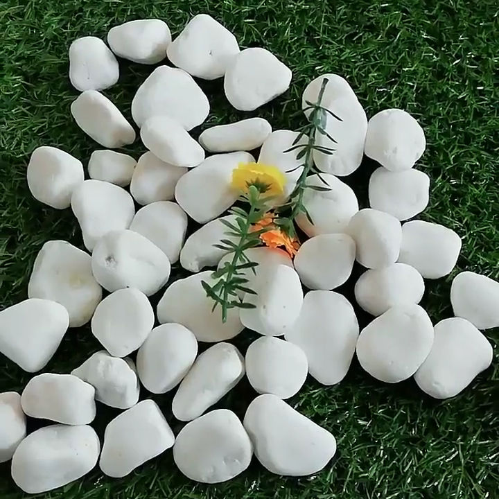 Sỏi trắng vườn, đá cuội trắng tự nhiên