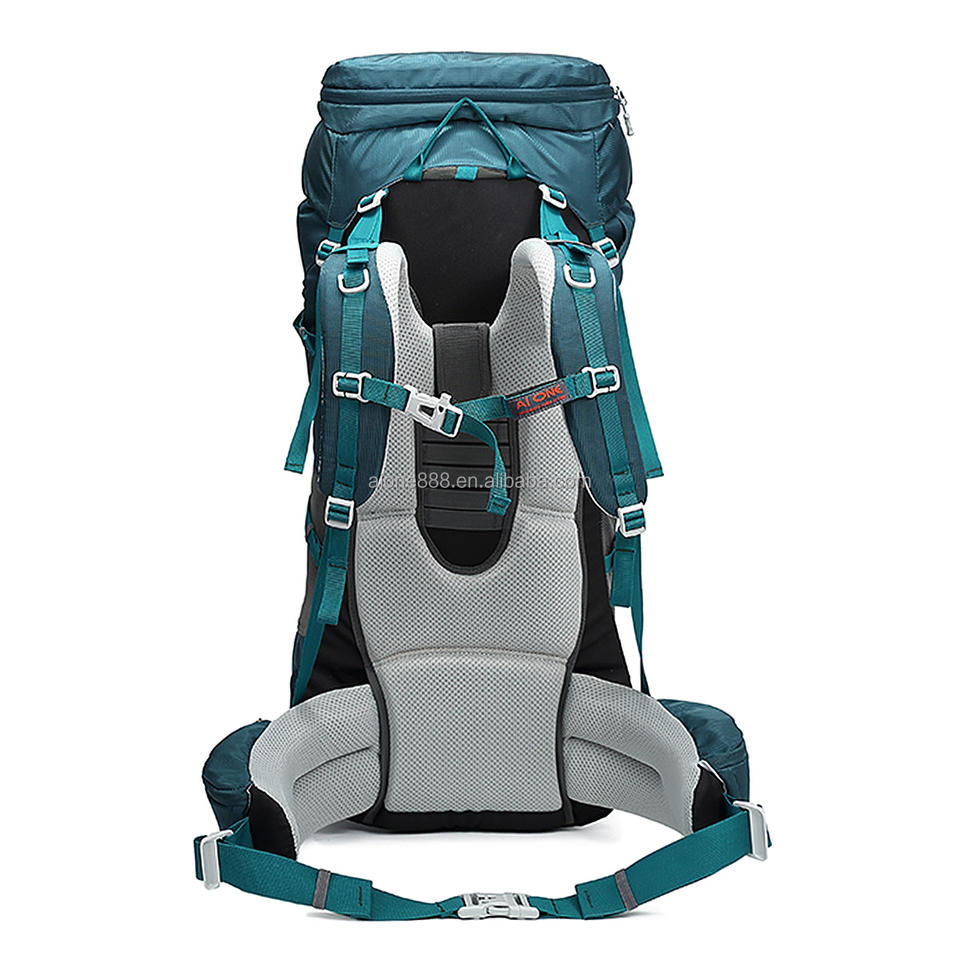 Ba lô đi bộ đường dài Unisex tùy chỉnh, dung tích lớn, phong cách cổ điển mới, thời trang, chống thấm nước, có khung ngoài, làm từ Polyester, với thiết kế logo.