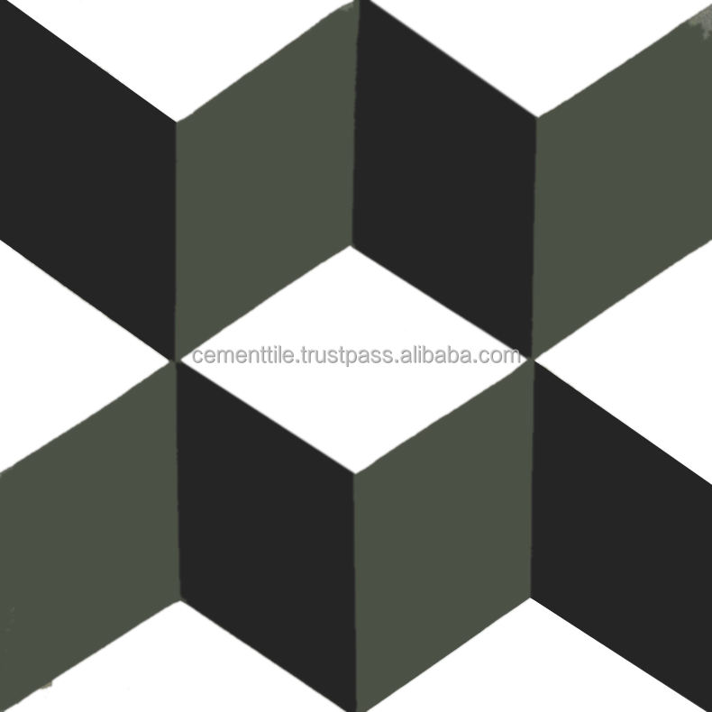 Gạch xi măng khảm CTS 8.x