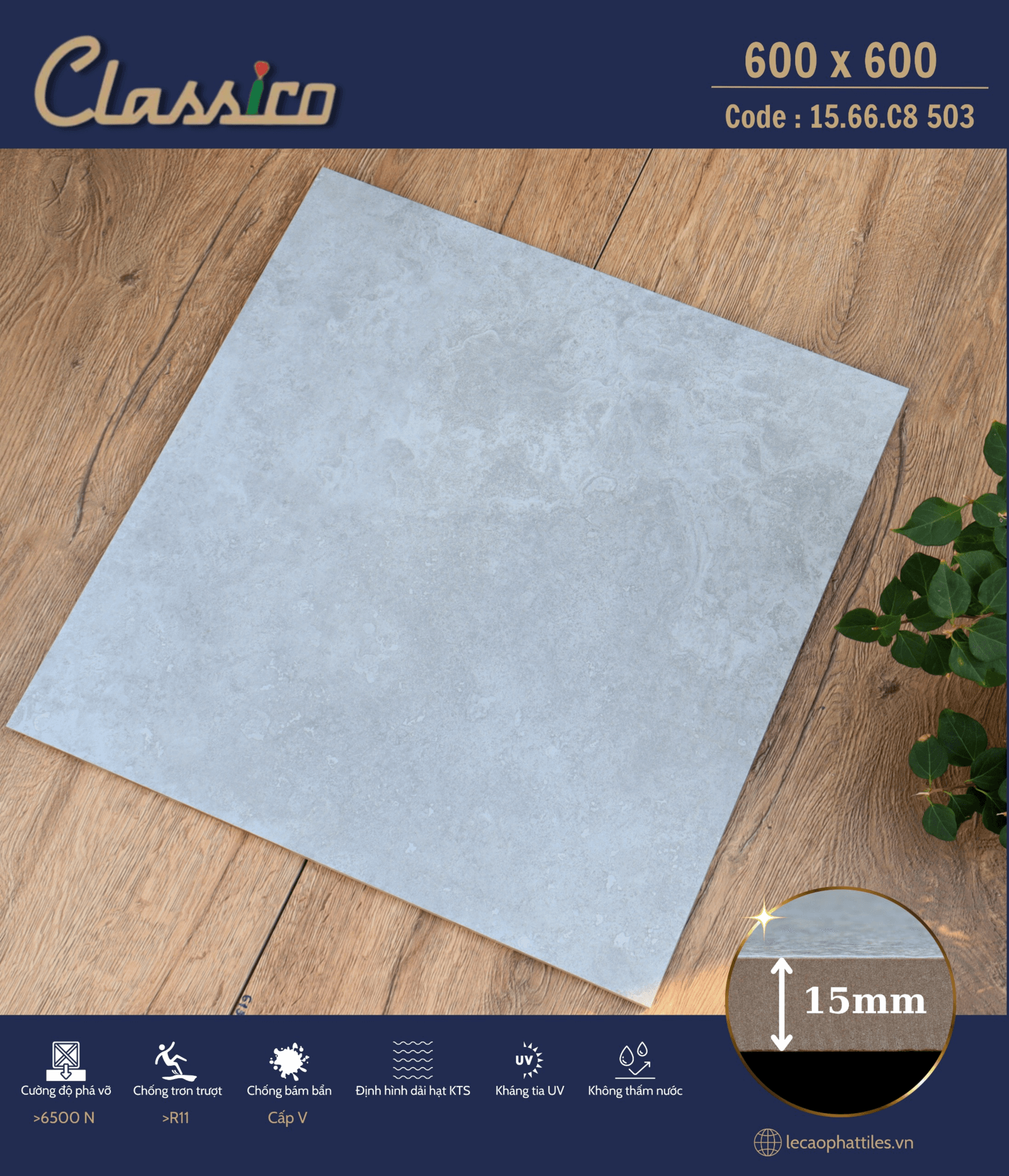 Gạch ốp lát Apodio CLASSICO 1566CB503 (Matt) (15mm)