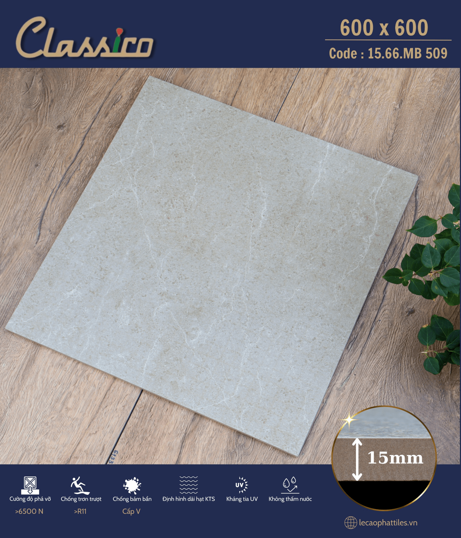 Gạch ốp lát Apodio CLASSICO 1566MB509 (Matt) (15mm)