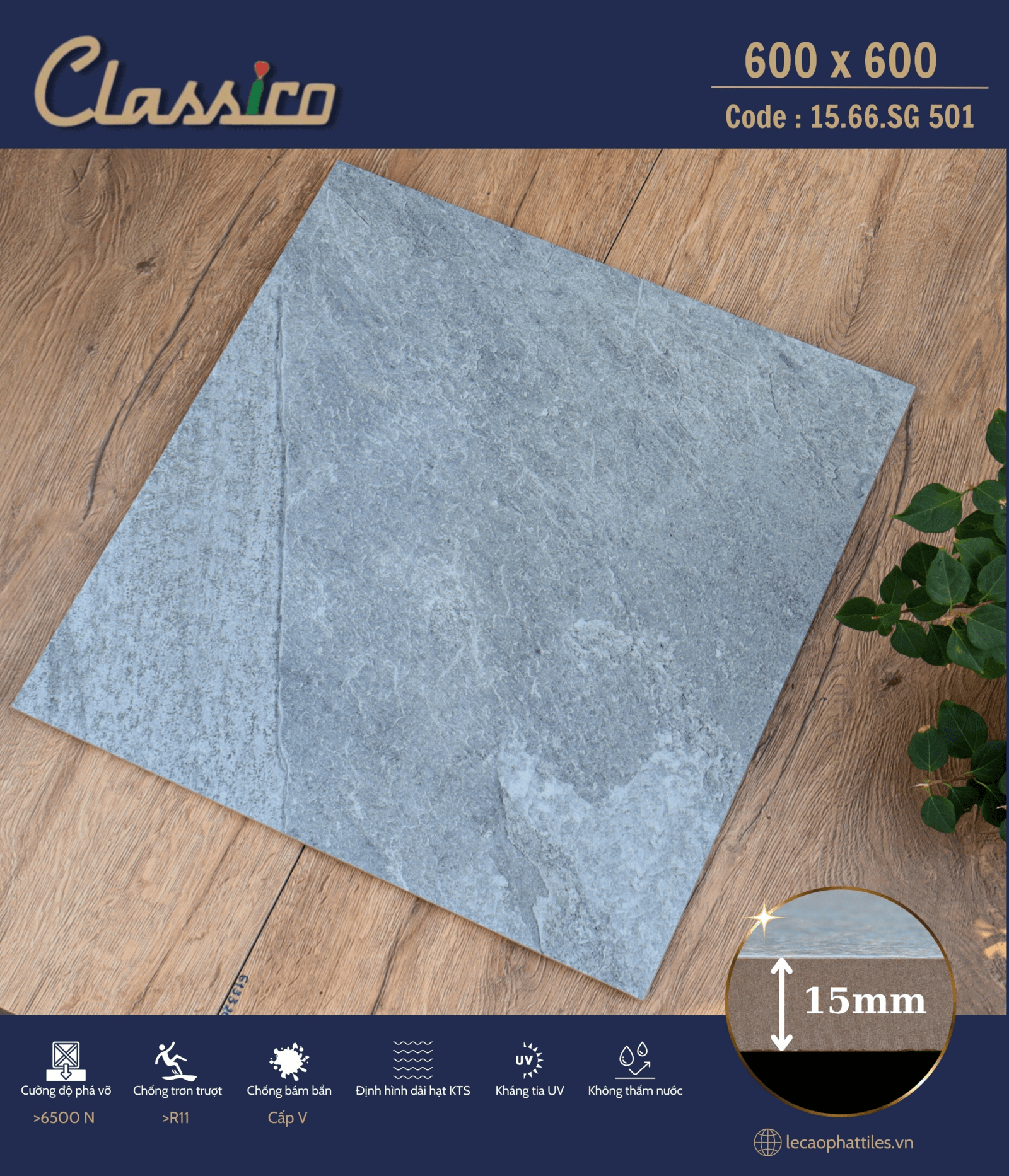 Gạch ốp lát Apodio CLASSICO 1566SG501 (Matt) (15mm)