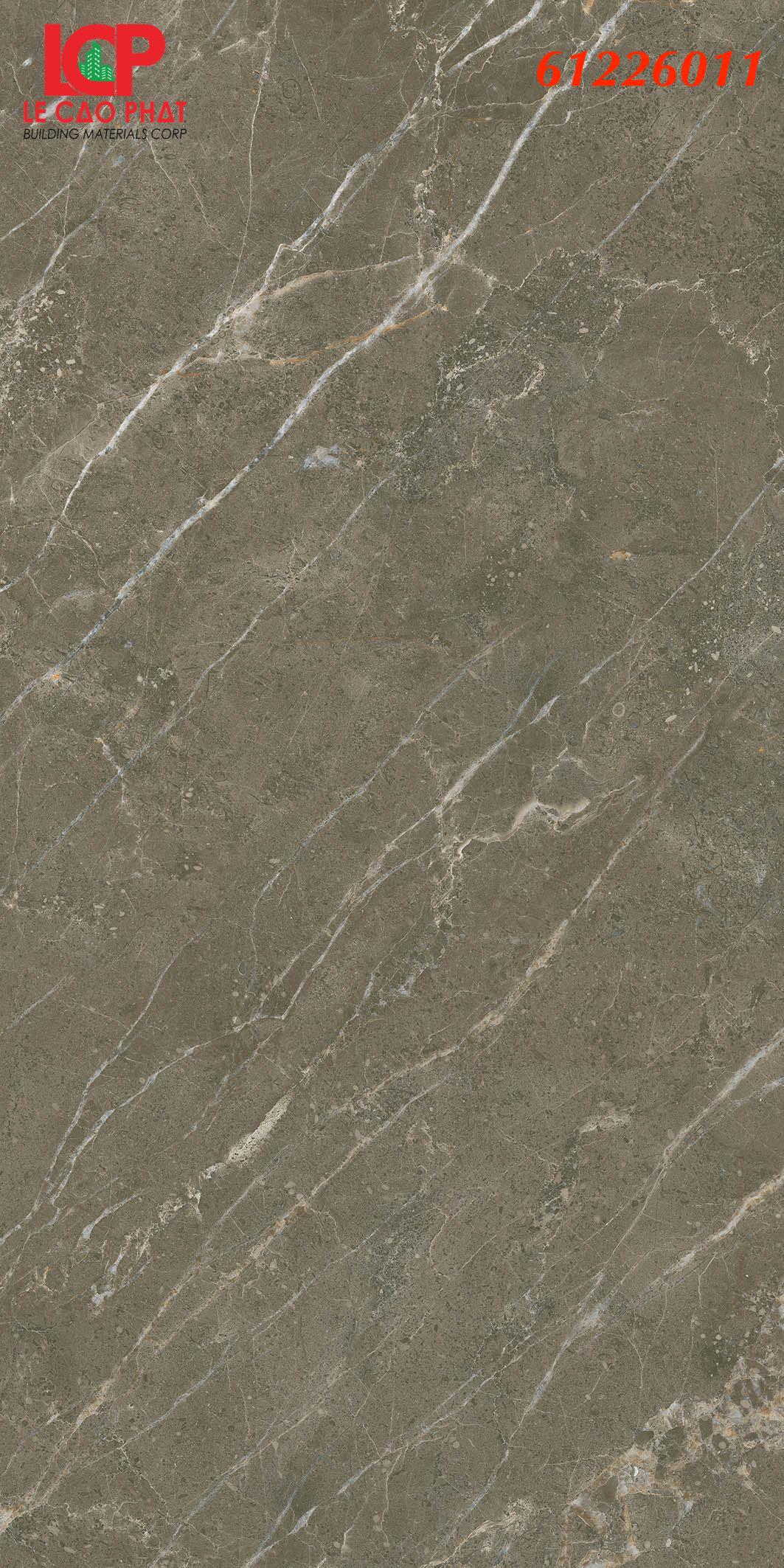 Gạch ốp lát Apodio  61226011