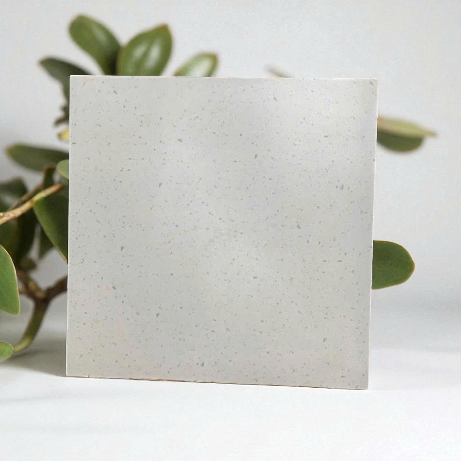Gạch Terrazzo 80x80 88A21