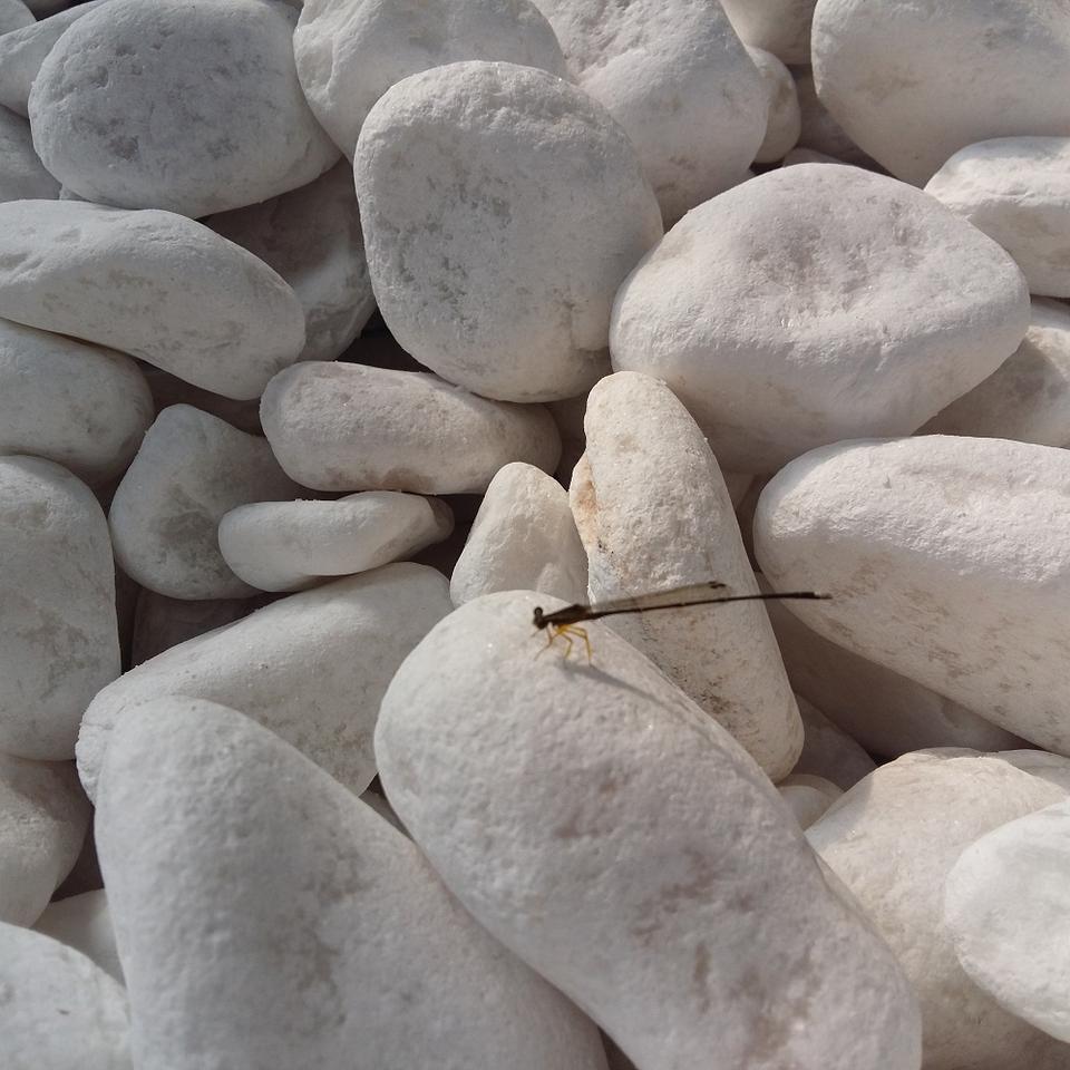 Landscaping Garden Marble Stone White Pebble Stone for Decoration Garden Pavers