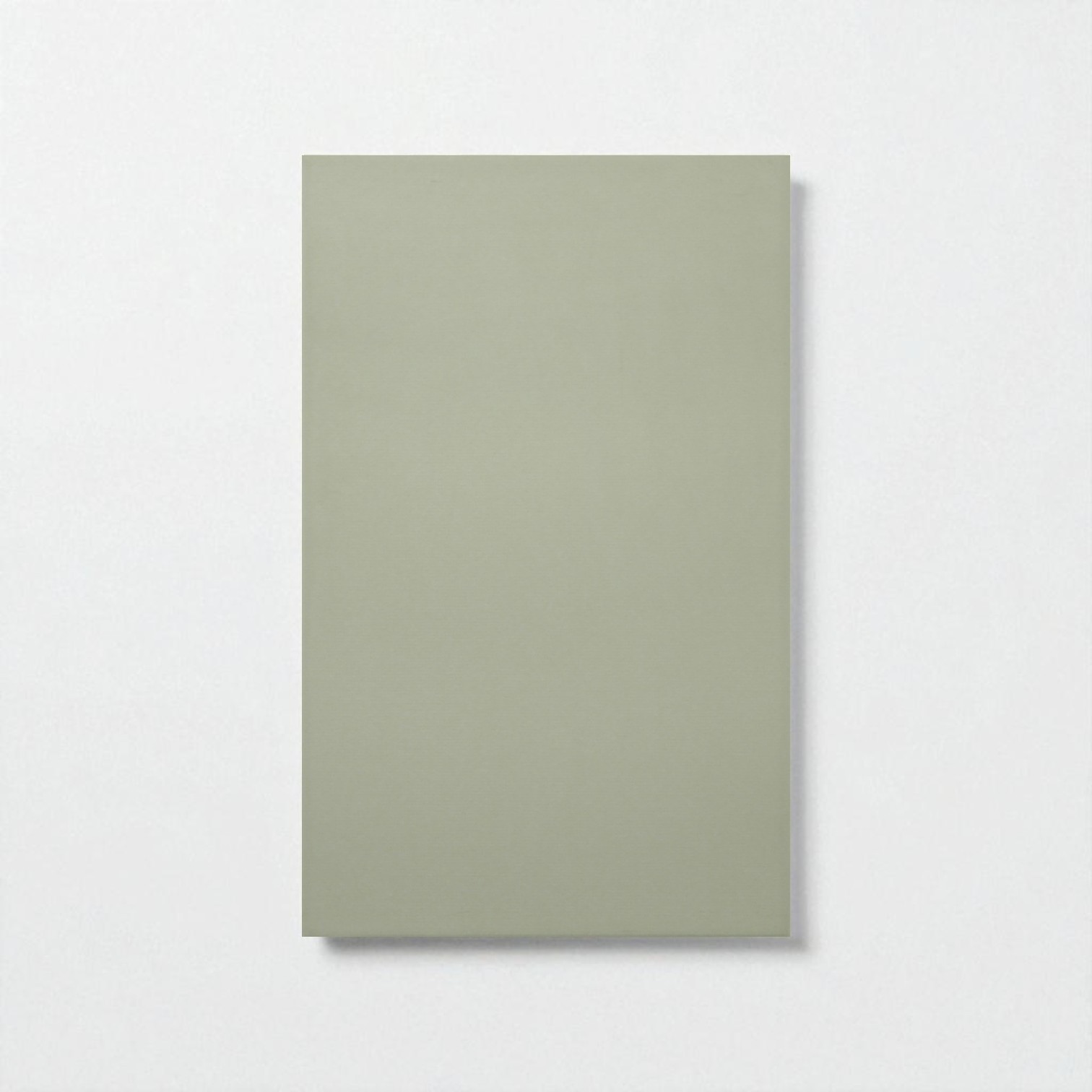 Gạch ốp 25x40 W4233P