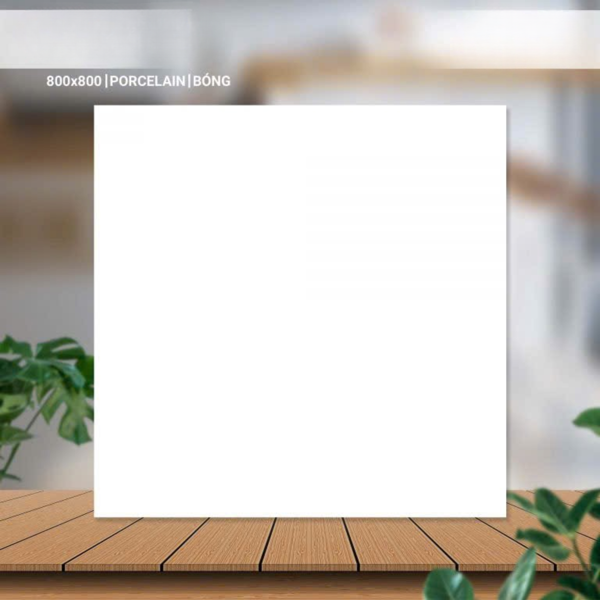 Gạch ốp lát 800x800mm mã 80030