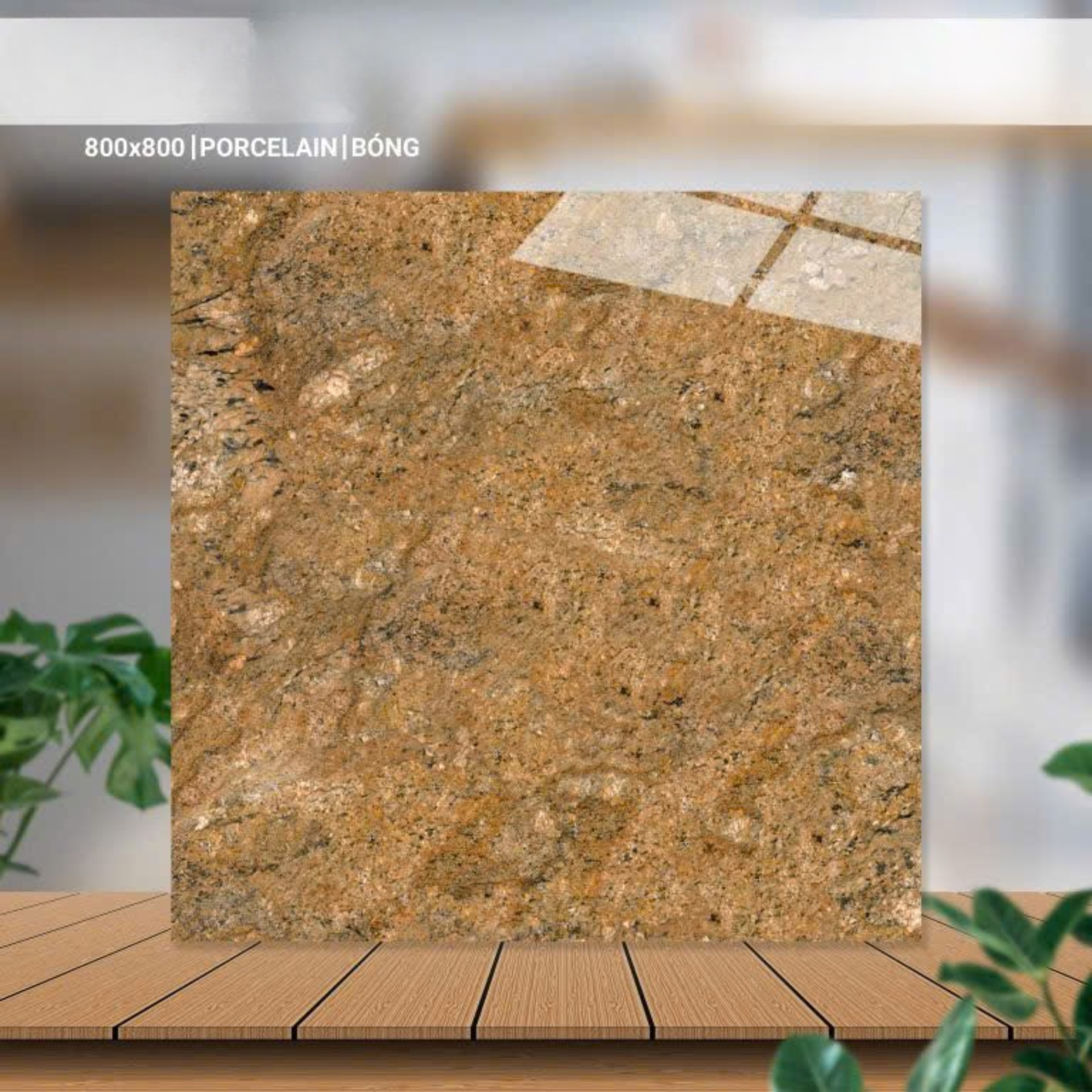 Gạch ốp lát 800x800mm mã 80082