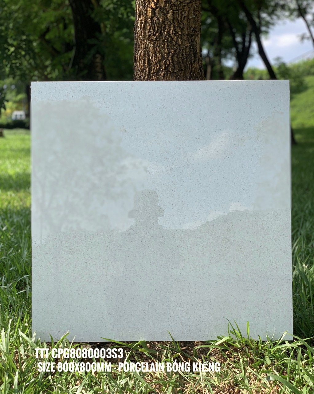 Gạch 30x30 trắng bóng