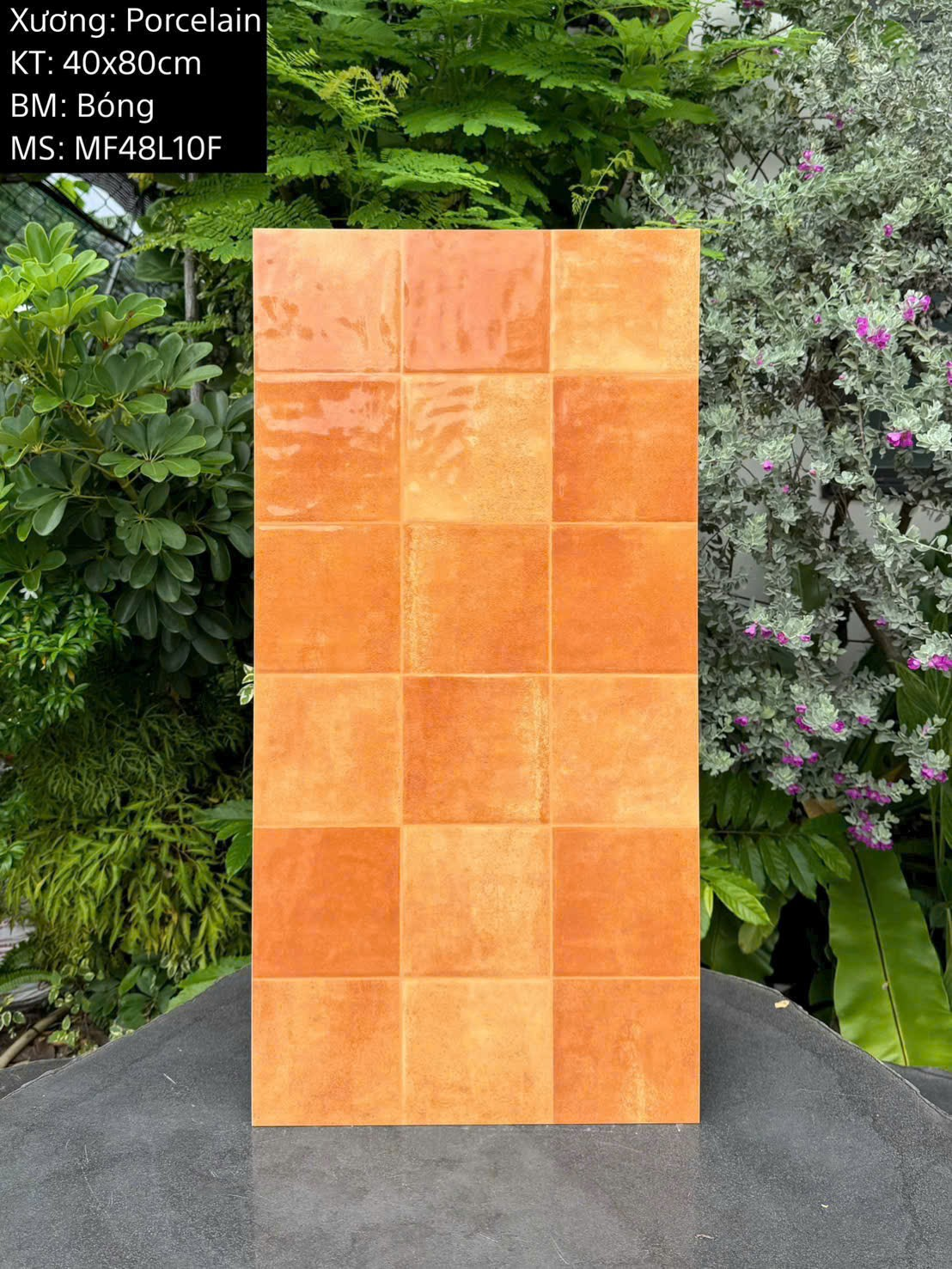 Gạch ốp tường giả thẻ men bóng KT 400x800mm mã MF48L10F