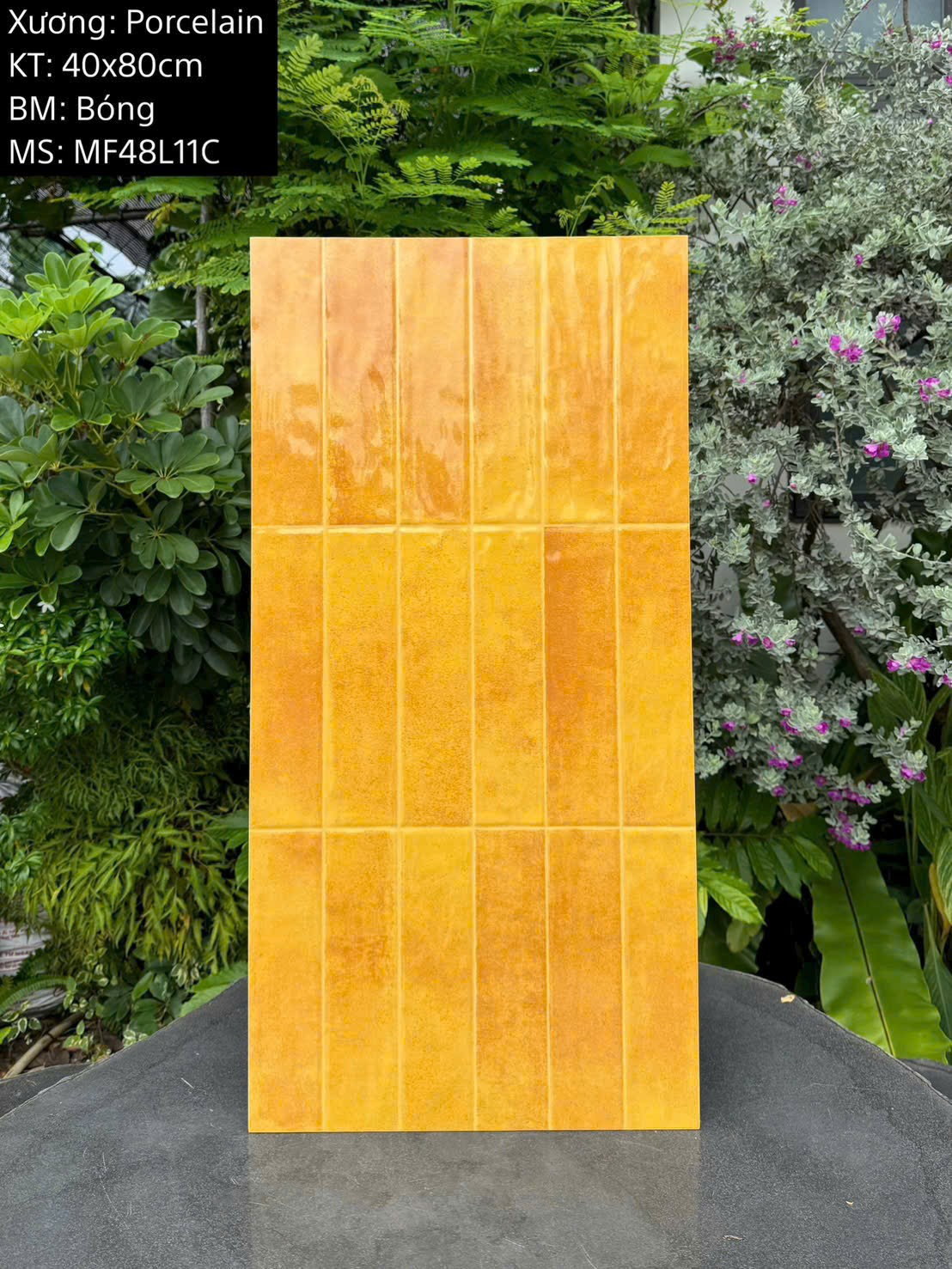 Gạch ốp tường giả thẻ men bóng KT 400x800mm mã MF48L11C