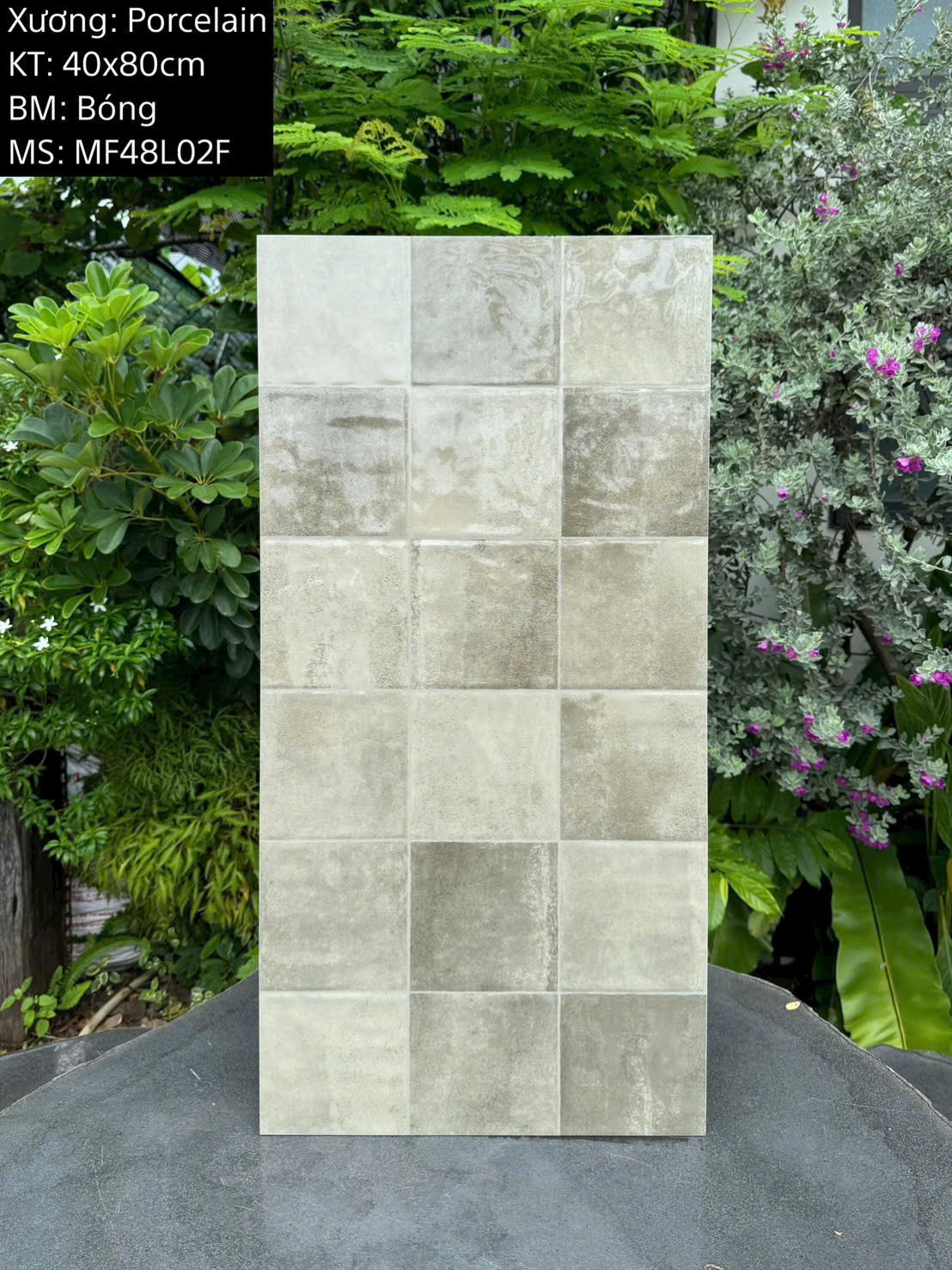 Gạch ốp tường giả thẻ men bóng KT 400x800mm mã MF48L02F