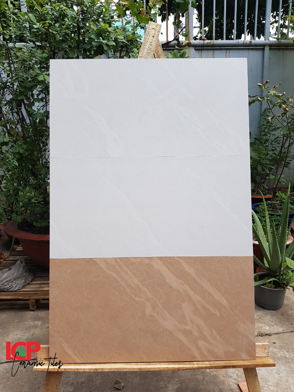 Gạch ốp lát Apodio 48301 48401