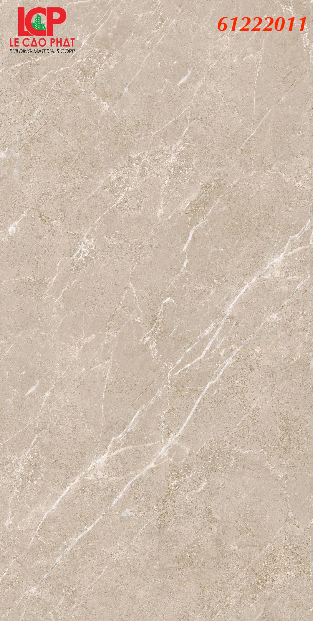 Gạch ốp lát Apodio 61222011