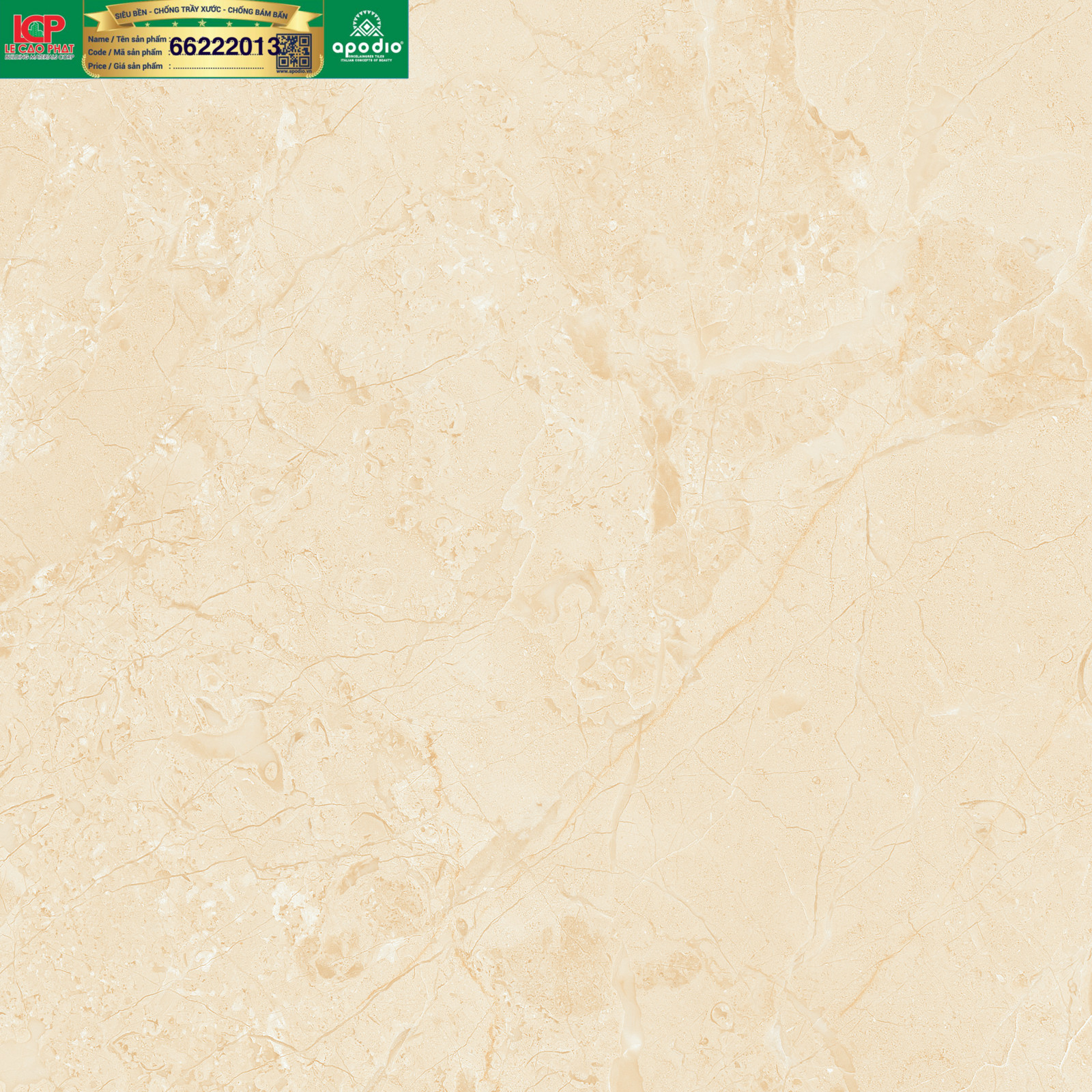 Gạch ốp lát Apodio 66222013