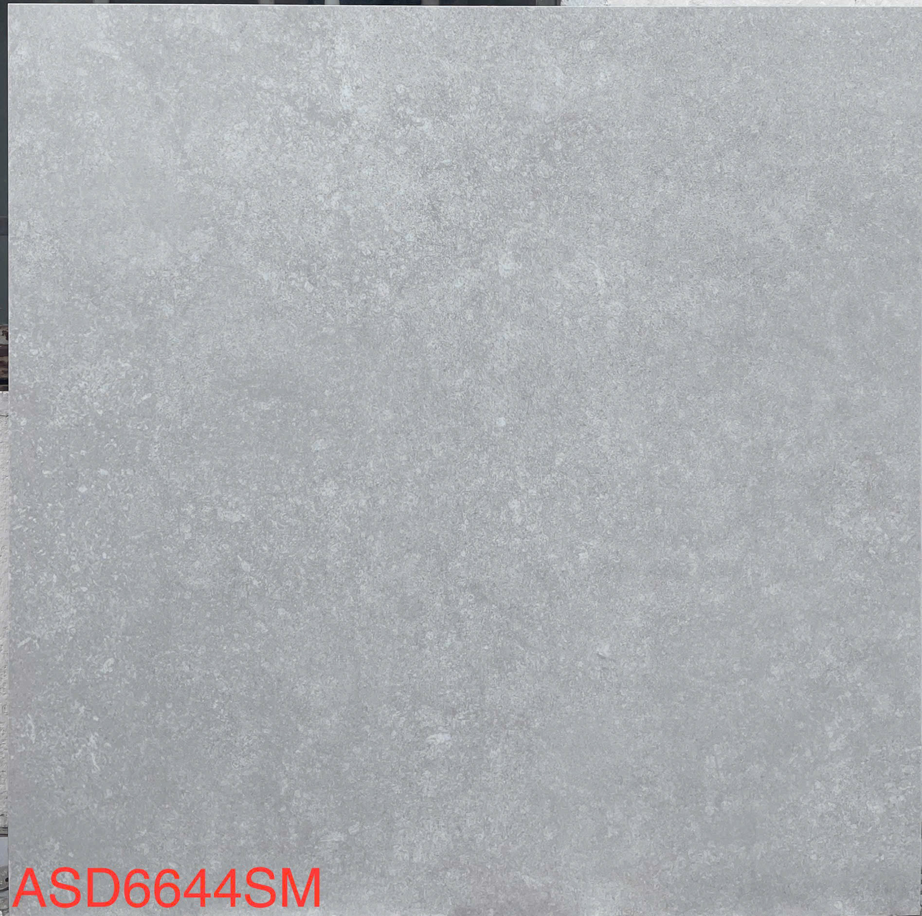 Gạch ốp lát 60x60 mã 6644SM