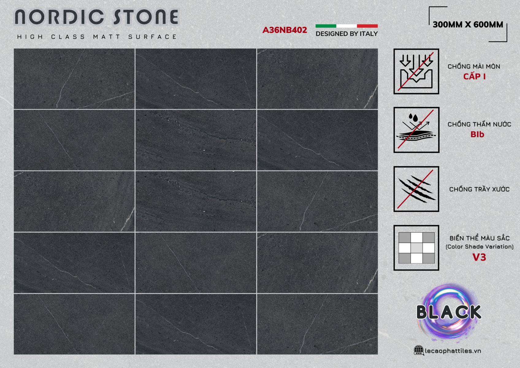 Gạch ốp lát Apodio A36NB402 (Matt)