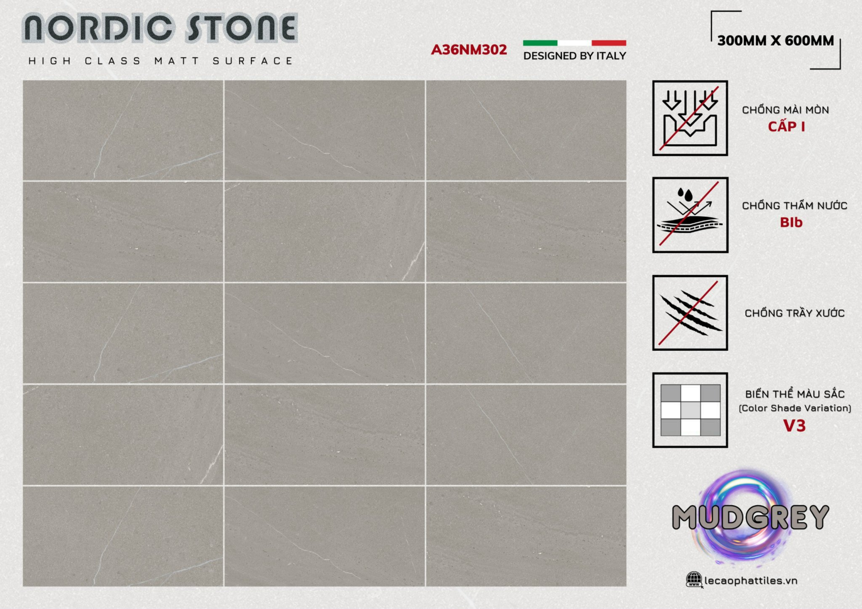 Gạch ốp lát Apodio A36NM302 (Matt)