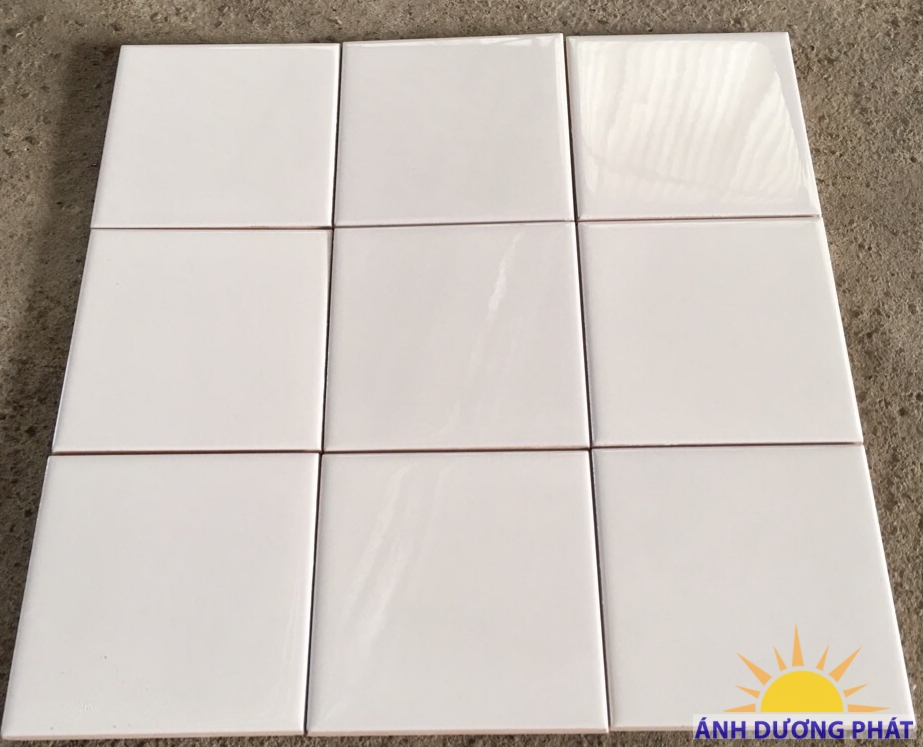 Gạch thẻ trắng 100x100