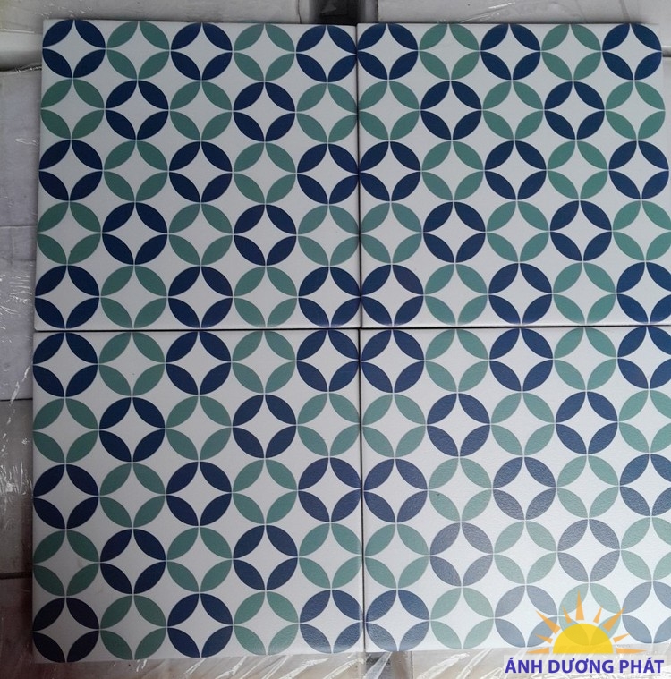 Gạch bông lát nền nhà 20x20 tại Tân Châu hình đồng tiền