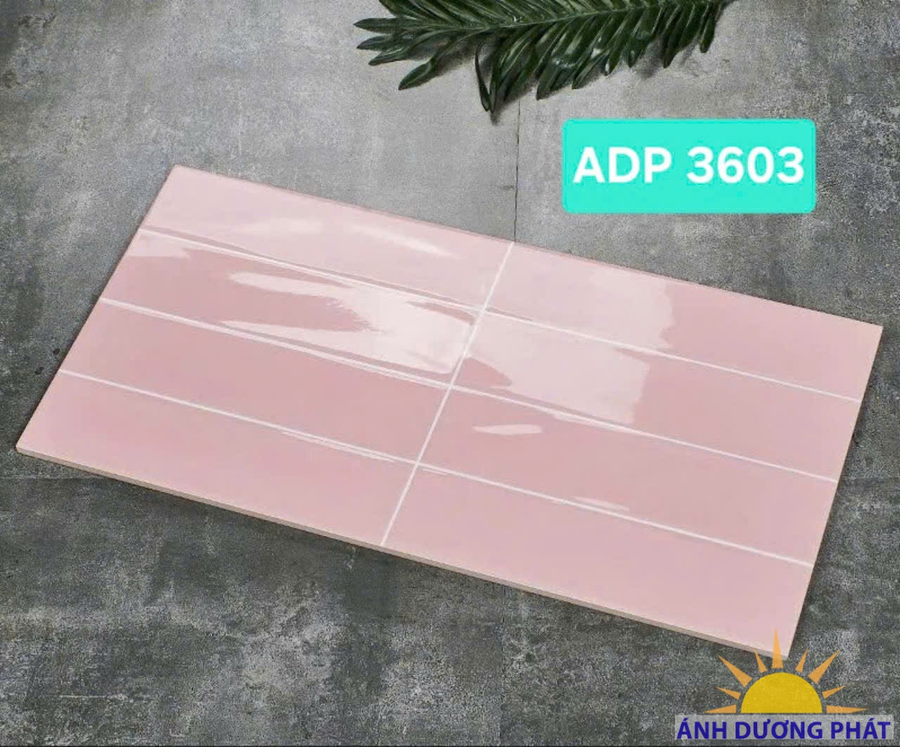Gạch ốp tường màu hồng 30x60 ADP3603