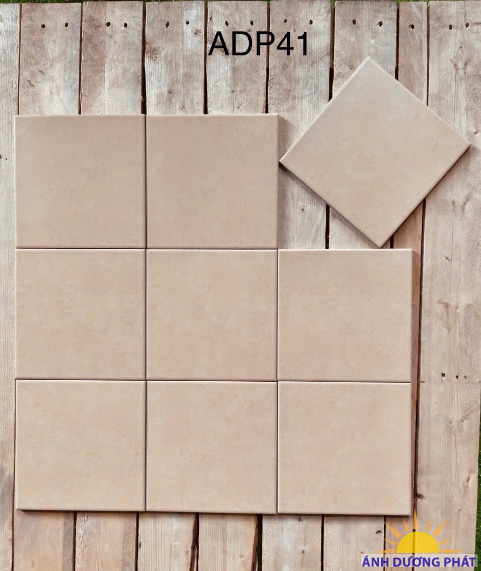 Gạch bông 20x20 ADP41