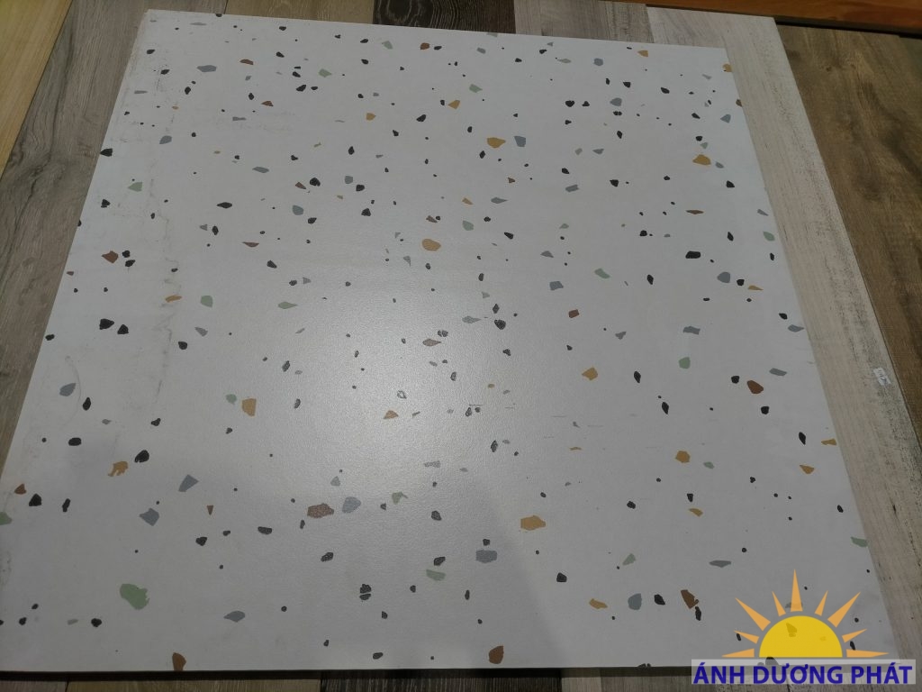 GẠCH TERRAZZO 60X60 ADP66231