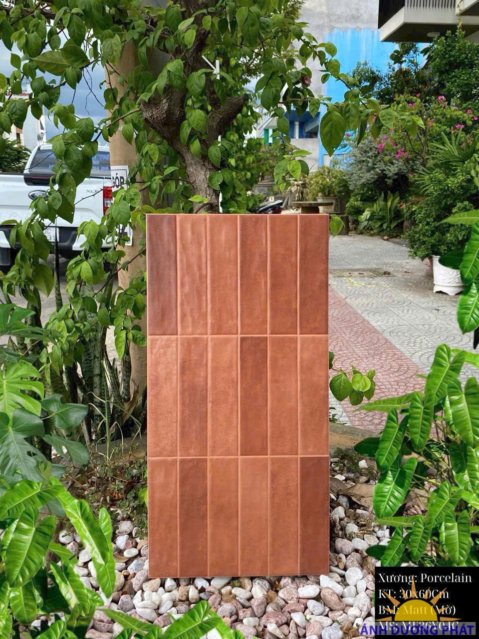 Gạch trang trí 30x60 matt 36Y04C