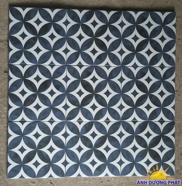 Gạch bông cổ điển 200x200 tại Châu Đốc đồng tiền