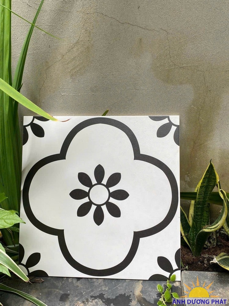 Gạch bông decor quán cà phê 30x30 Sóc Trăng hoa văn đẹp