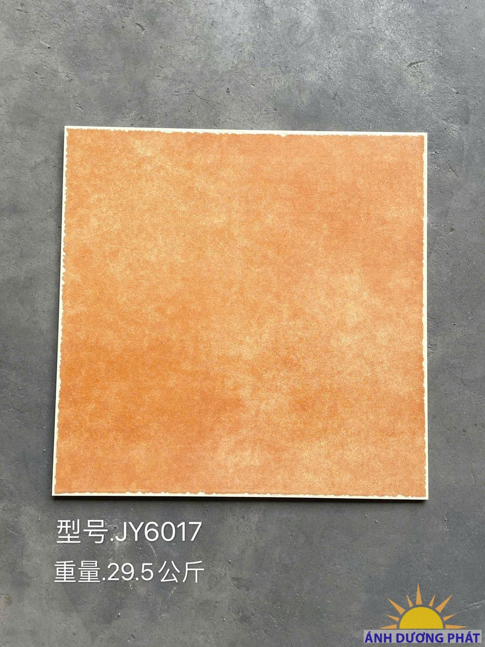 Gạch giả cổ 60x60 JY6017