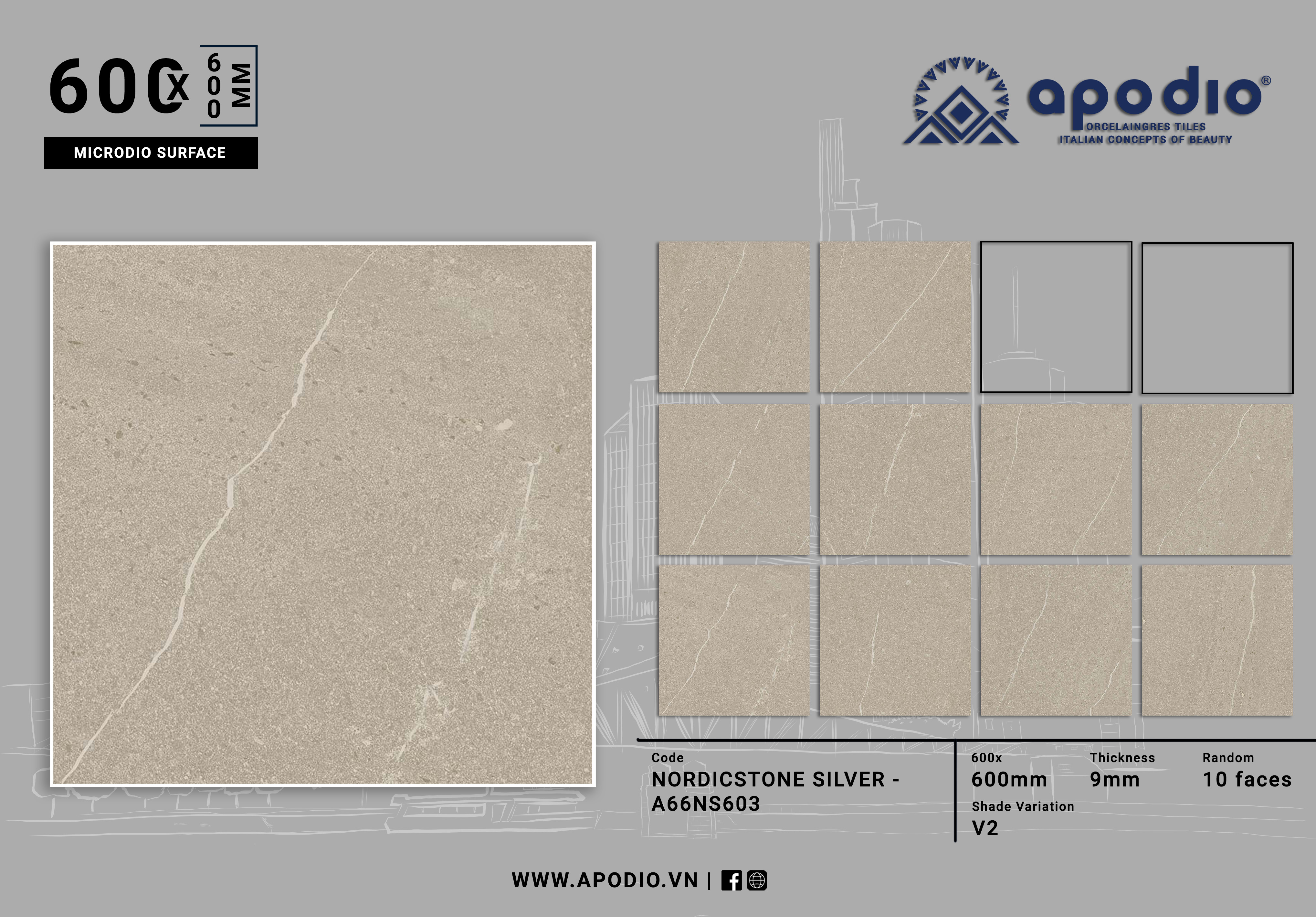 Gạch ốp lát Apodio A66NS603 (Matt tinh thể)