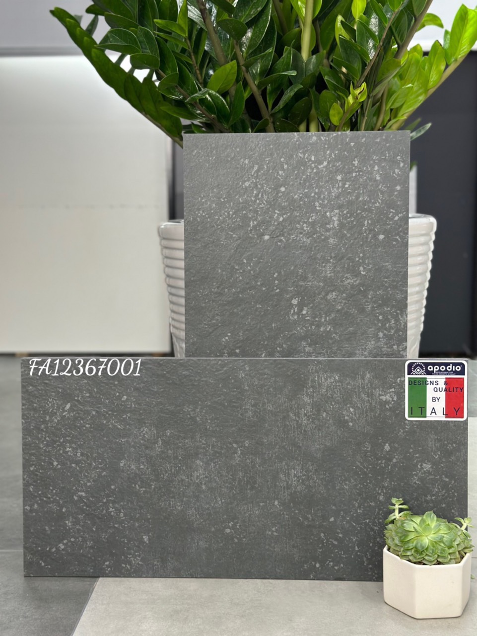 Gạch ốp lát Apodio FA12367001 (12mm)