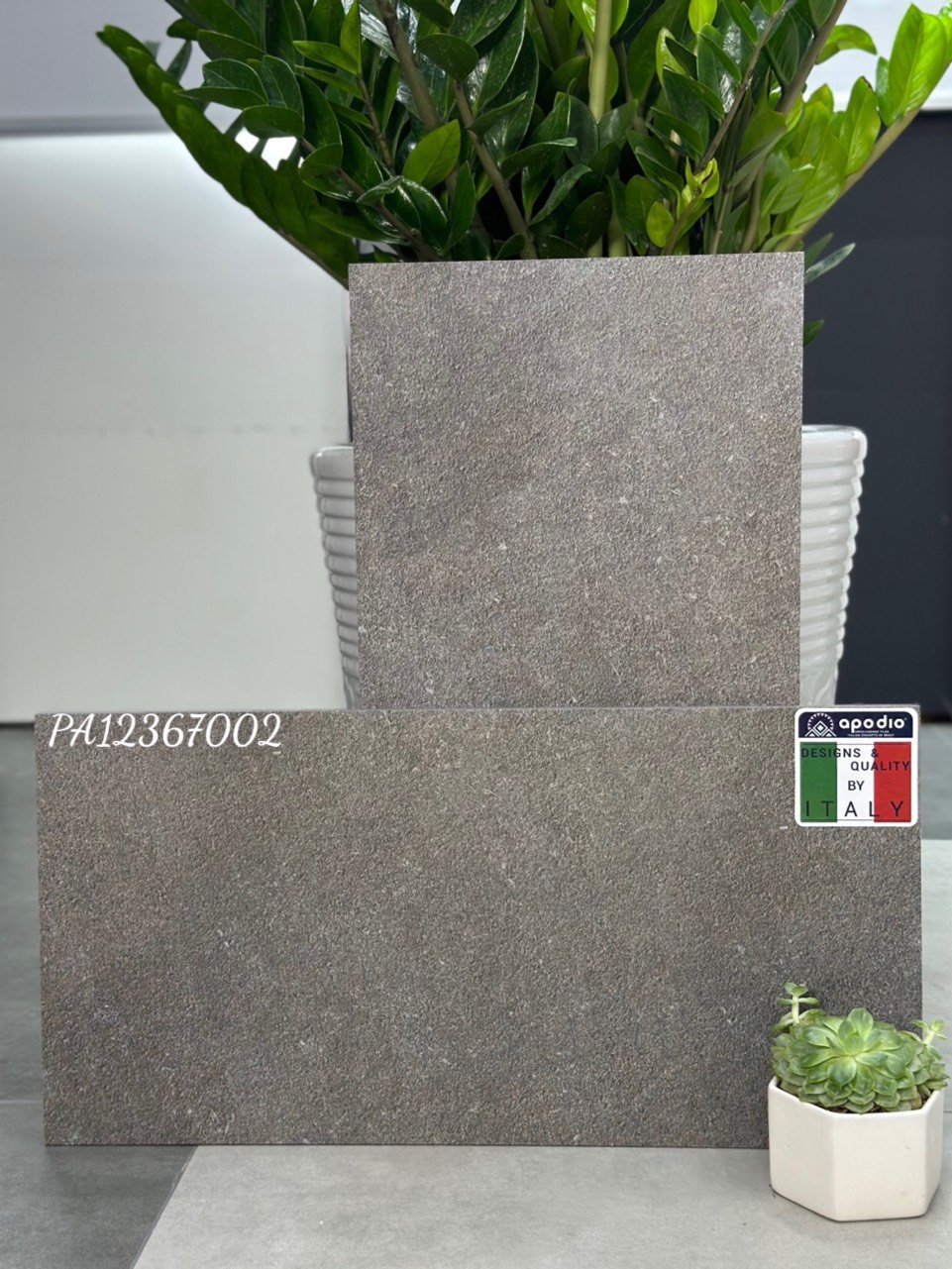 Gạch ốp lát Apodio PA12367002 (dày 12mm)