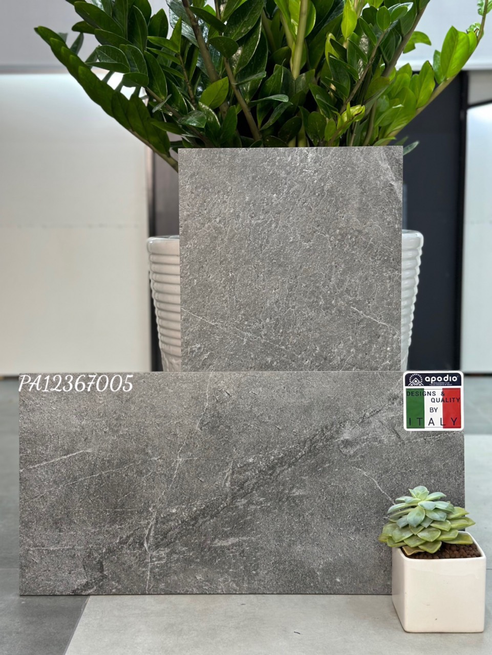 Gạch ốp lát Apodio PA12367005 (dày 12mm)