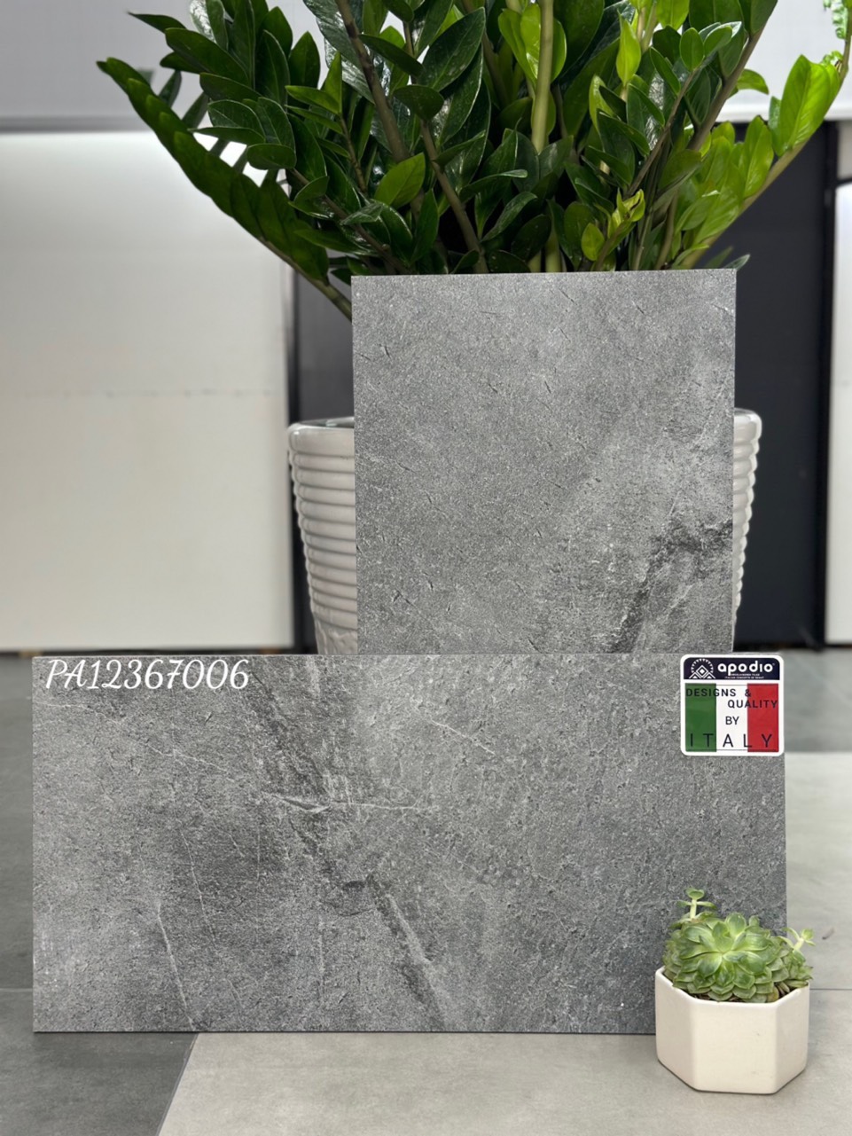 Gạch ốp lát Apodio PA12367006 (dày 12mm)