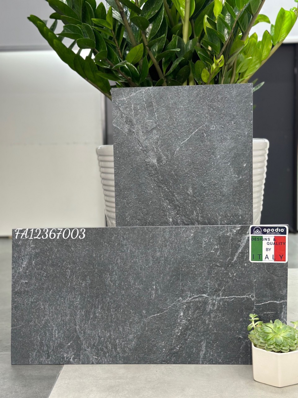 Gạch ốp lát Apodio FA12367003 (dày 12mm)