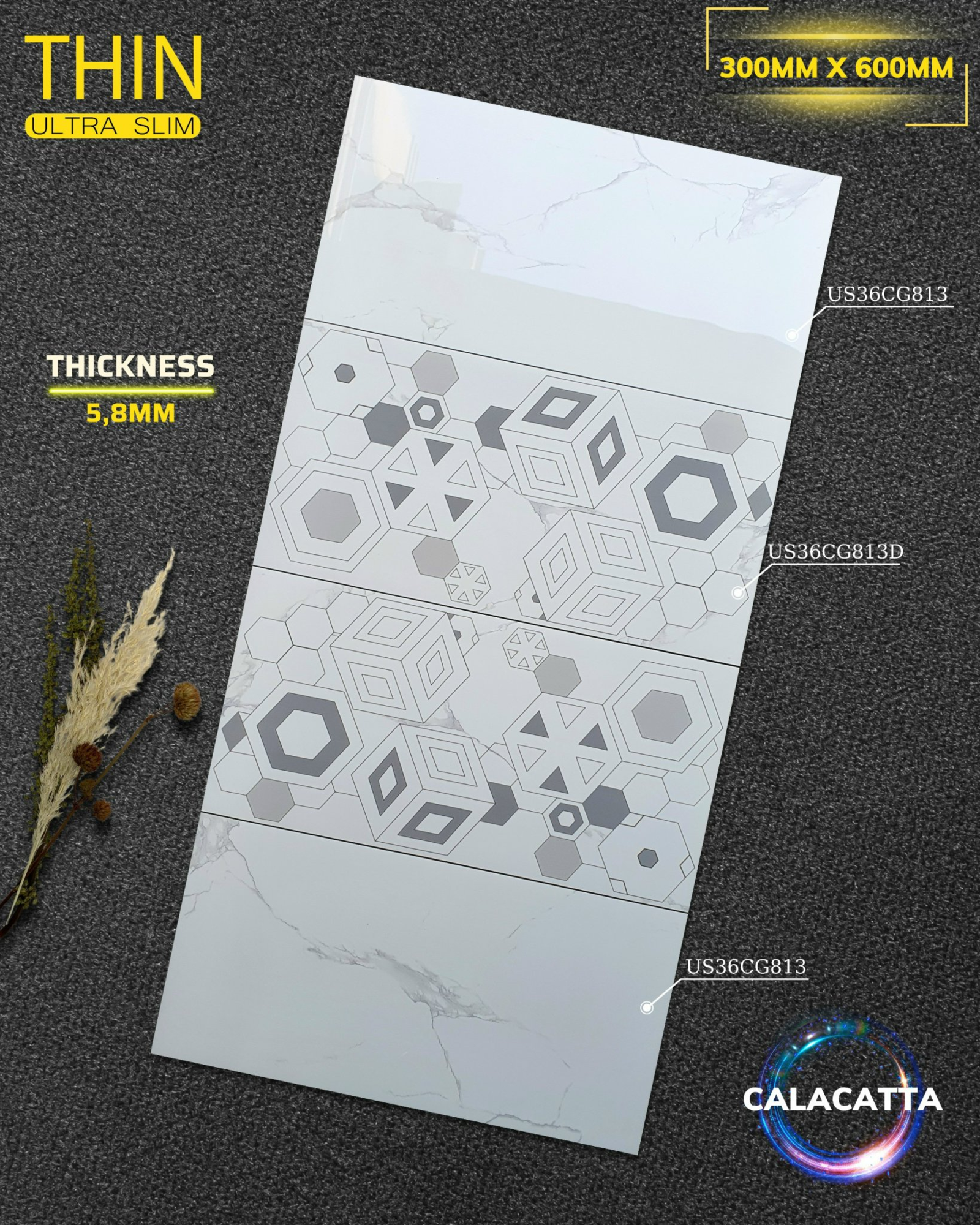 Gạch ốp lát Apodio CG813 CG813D (Bóng)