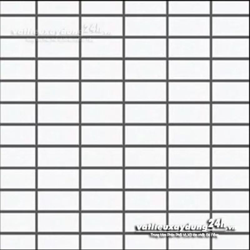 Gạch INAX PPC - 11