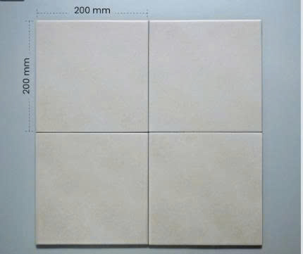 Gạch porcelain KT 200x200 mã F2013