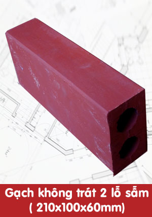 Gạch không trát 2 lỗ sẫm 210x100x60mm