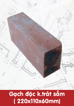Gạch đặc không trát sẫm 220x110x60mm