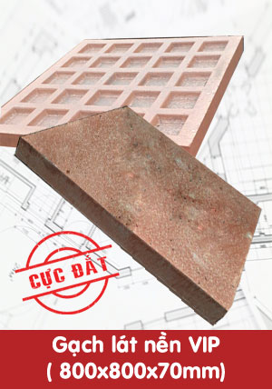 Gạch lát nền VIP 800x800x70mm