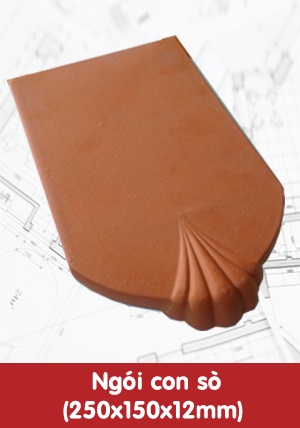 Ngói con sò 250x150x12mm