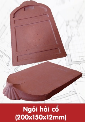 Ngói hài cổ 200x150x12mm